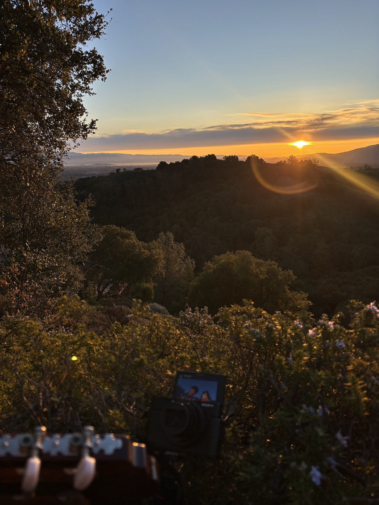 A golden sunset over the hills